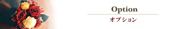 オプション